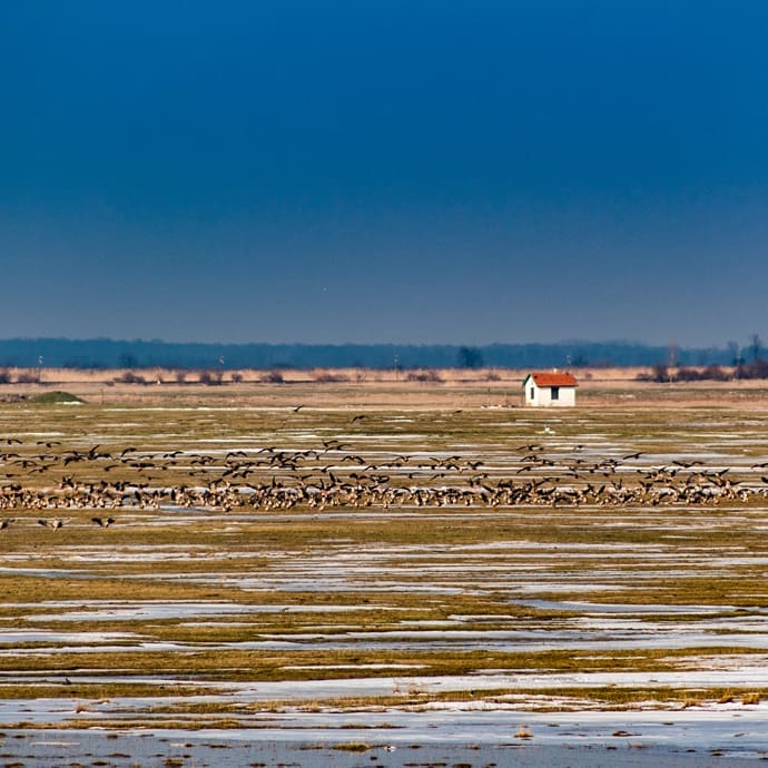 Hortobágy National Park, a UNESCO World Heritage site, Hungary
