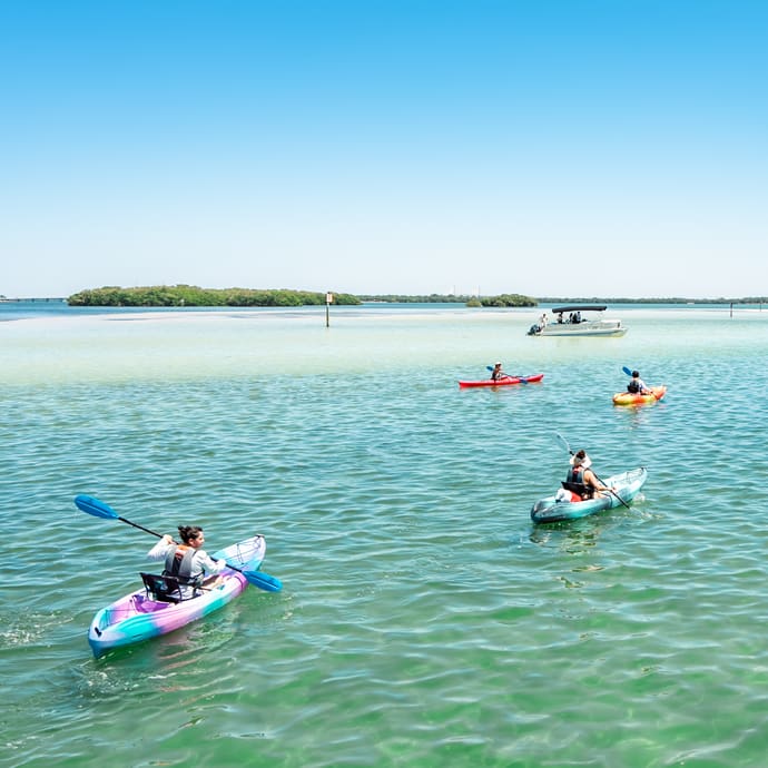 Kayaking in St. Pete-Clearwater, Florida - Visit St. Pete-Clearwater