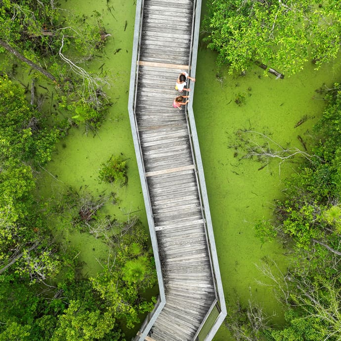 Exploring Conservation Park – Visit Panama City Beach